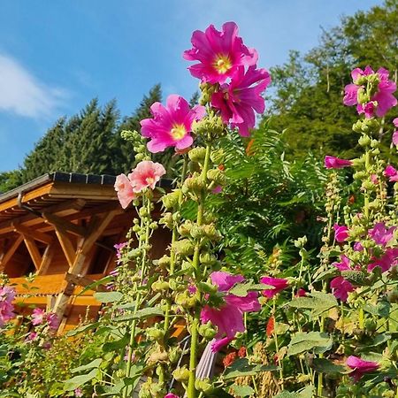 Chalet Arpitan - Les Carroz - Grand Massif Exterior photo