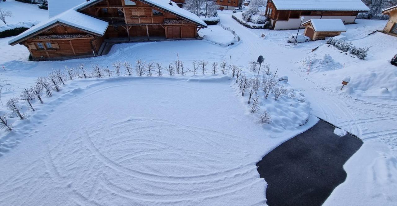 Chalet Arpitan - Les Carroz - Grand Massif Exterior photo
