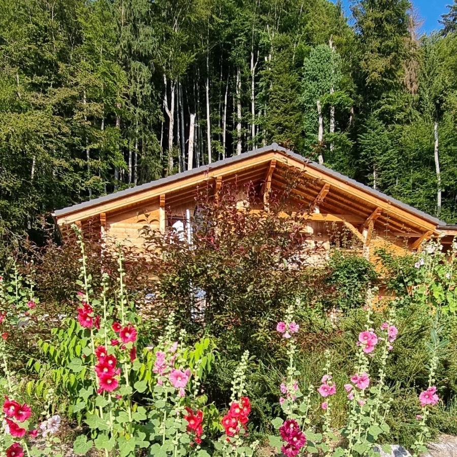 Chalet Arpitan - Les Carroz - Grand Massif Exterior photo